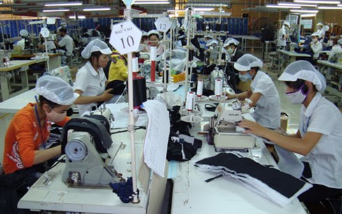 Vì lương thấp nên năng suất lao động Việt Nam thấp?