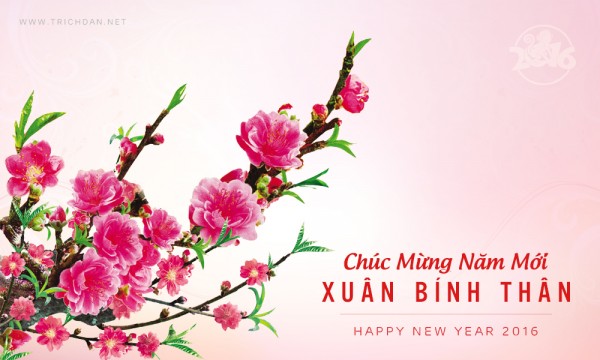 CHÚC MỪNG NĂM MỚI 2016